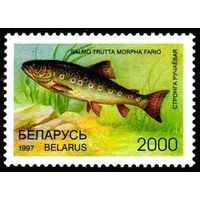 Марки "Форель ручьевая. 2000", "Рыбец. 3000", "Усач. 4500", "Хариус обыкновенный. 4500", "Блок N12. Стерлядь. 5000"