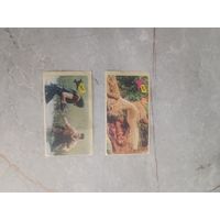 Наклейки kickboxer