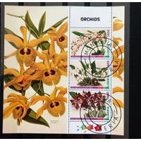 ЛИСТ ФЛОРА ЦВЕТЫ ГРИБЫ  СТО