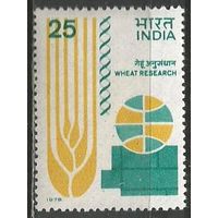 Индия. Симпозиум по выращиванию пшеницы. 1978г. Mi#752.