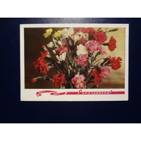 С праздником!  Гвоздики.  1972 г.  подписанная.