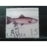 Латвия, 2004. Радужная форель