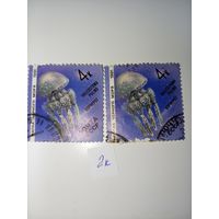 1991г. СССР. Фауна Чёрного моря