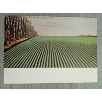 1956. Литвиненко. Золотая осень