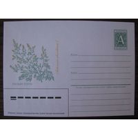 1996 г. ХМК Беларусь. Палын горкi. Полынь горькая, BALTIOS ARAS .