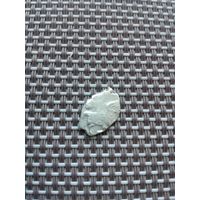 Чешуйка10 с рубля!