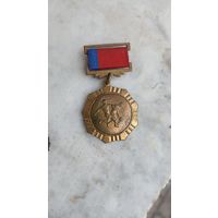 Медаль совета  министров по спорту и туризму