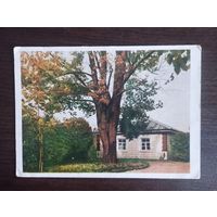 Михайловское. Домик няни. Чистая. 1954г.