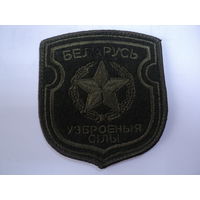 Шеврон ВС РБ полевой
