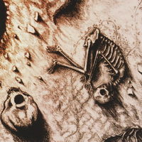 Dust To Dearth / Lysergene - Death of the Sun CD