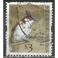 Гонконг. Птицы. Бюльбюль. 2006г. Mi#1397.