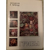 Набор открыток СССР Грибы (25 шт) 1980г. с описанием и блюдами