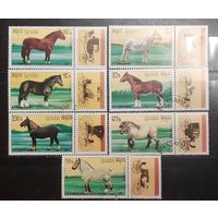 Камбоджа. 1989 год. Фауна. Лошади (1216)