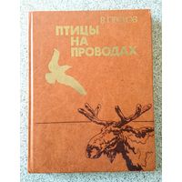 Василий Песков Птицы на проводах 1982