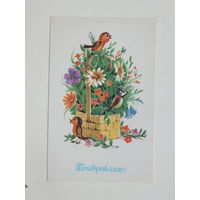 Шабанов поздравляю 1991 9х14  см