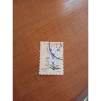 1997 Турция флора цветы (4-6)