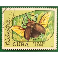 Куба 1988. Жук-слон