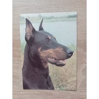 Календарик 1993