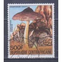 [2155] Гвинея 1984. Грибы. Концовка серии.Гашеная марка.