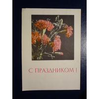 С праздником!  Гвоздики.  1968 г. Минск.  подписанная.