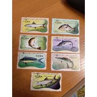 1971 Куба фауна моря рыбы (5-3)