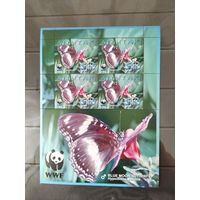 Аутитаки  2008 м/л бабочки