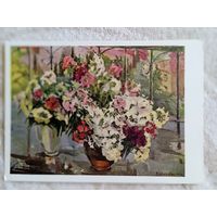 Цветкова. Флоксы