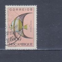 [1707] Португальский Мозамбик 1951. Фауна.Рыба.6 э. Гашеная марка.