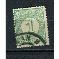Нидерланды - 1876 - Цифры 1С - (есть тонкое место и надрыв) - [Mi.31aF] - 1 марка. Гашеная.  (Лот 14Jo)-T4P15