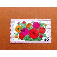 Германия. Флора. ( 1 марка ) 1976 года. 4-16.