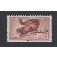 Испанская Ифни 1955* Фауна Белка