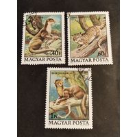 Венгрия 1979 3 м дик.животные