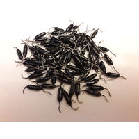 Диоды Д311, Д311А, Д311Б, 49шт. одним лотом!