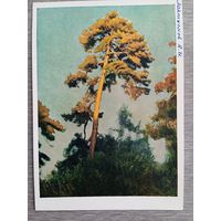 1957. Лактионов. Последний луч