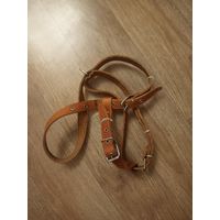 Шлейка для собак