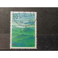 Япония, 1999. Пейзаж священной горы Коя-сан