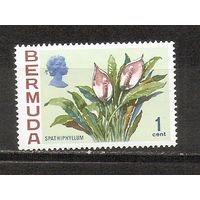 ФФ2 Бермуды 1970 Цветы