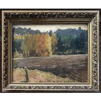 Дучиц Н.В;Земля белорусская;57/68см.с родной рамой;63г;к/м;45/58см