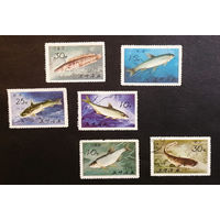 КНДР. Северная Корея 1975 г. Пресноводные рыбы. Фауна, полная серия из 6 марок #0226-Ф1P44