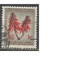 Южная Африка(Республика). Коралловое дерево. 1961г. Mi#288.