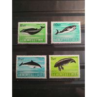 Мозамбик 1986 г. Киты.