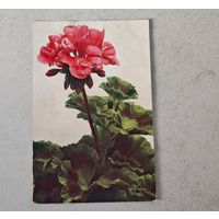 1908 год Либава    Открытка