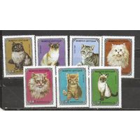 ФФ1 Монголия 1979 Кошки