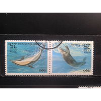 СССР, 1990. Морские млекопитающие, сцепка