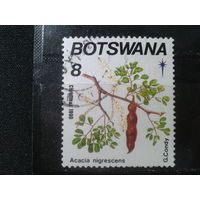 Ботсвана,1990. Акация