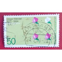 Германия, 1984 г., 100 лет со дня смерти Грегора Менделя