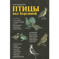 И. И. Бышнев. Птицы над Березиной.