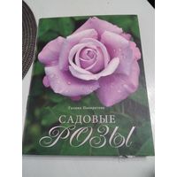 Садовые розы. Большая энциклопедия.  /83