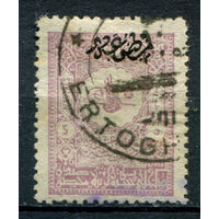 Османская Империя (Турция) - 1901/05г. - тугра Абдул Хамида II, надпечатка, перф. 13 1/4, 5 Pia, розов - 1 марка - гашёная [Mi 99 A]. #4-W2-112-A-1