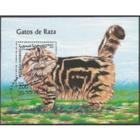 1999 Республика Сахара B Local Кошки